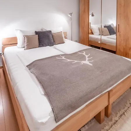 Apartament Schmitten & Cityxpress 1 And 2 *