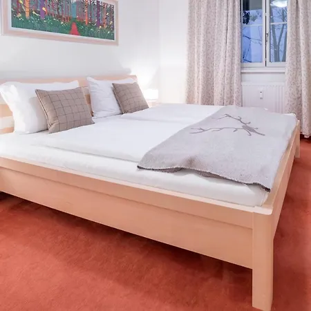 Апартаменты Schmitten & Cityxpress 1 And 2