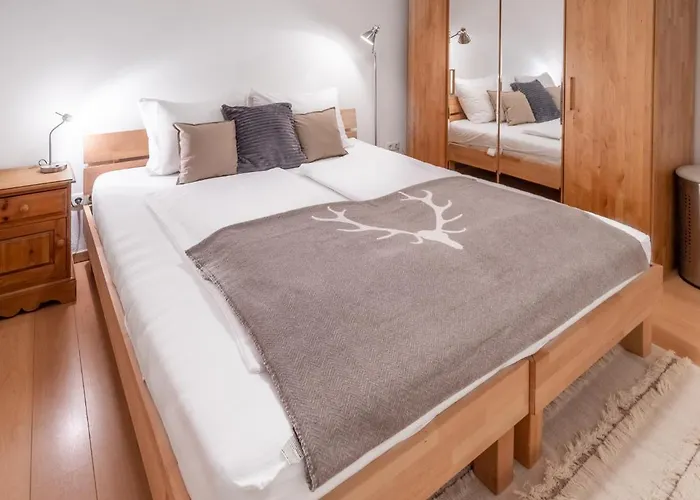 公寓 Schmitten & Cityxpress 1 And 2 *